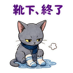 雨の日版！ロシアンネコのいまこれ