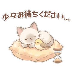 ふんわりシャム猫のやさしい気遣いスタンプ