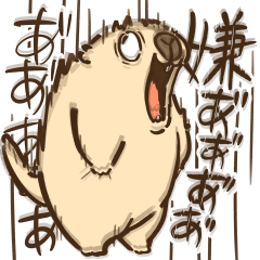 動く！マーモットのモットー