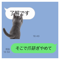 メッセージにロシアンブルーを添えて
