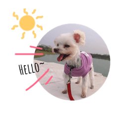 Ball Diary Life Diary (1)